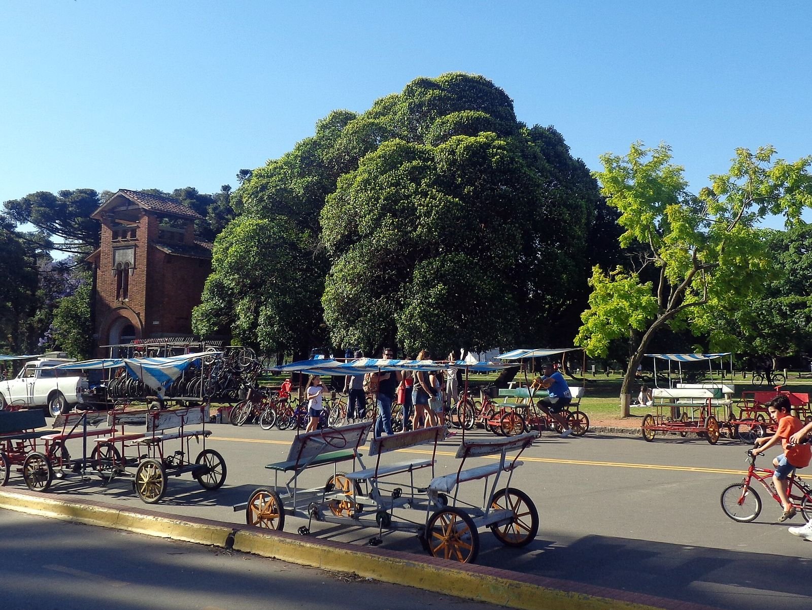 Bosques de Palermo (Parque Tres de Febrero), com bicicletas de aluguel e árvores