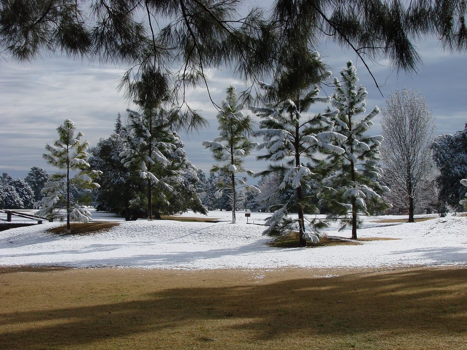 Parque com árvores e gramado cobertos de neve na província de Buenos Aires